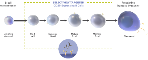ocrevus-hcp.com